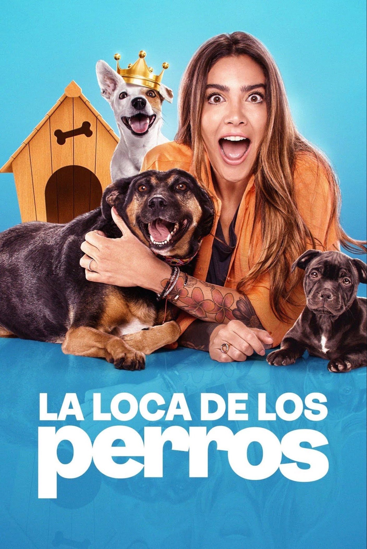 Cartel de La loca de los perros